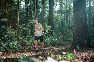 BIB: 
                            <button type="button" onclick="openModal(26076709)" class="btn btn-primary btn-sm float-right btn-popup" data-toggle="modal" data-target=".modal-high-quality">
                        <i class="fas fa-shopping-cart"></i> Add to Cart
                    </button>
                                            <button type="button" onclick="isThisMe(26076709, true)" class="btn btn-success btn-sm float-right btn-popup btn-isme hidden" data-toggle="tooltip" data-placement="bottom" title="นี่คือรูปของคุณใช่ไหม คลิกที่นี่เพื่อเอาเข้าอัลบั้ม">
                        <i class="fas fa-plus"></i> Add to album
                    </button>
                    <button type="button" onclick="isThisMe(26076709, false)" class="btn btn-warning btn-sm float-right btn-popup btn-isnotme hidden">
                        <i class="fas fa-ban"></i> Remove from album
                    </button>